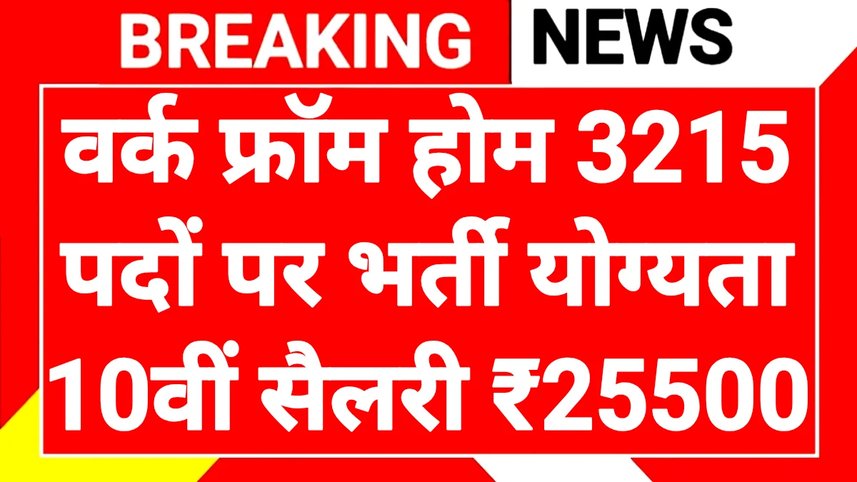 Women Work From Home Job 2026